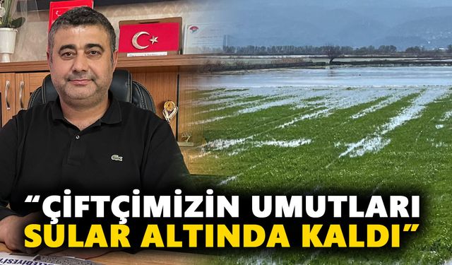 Büyük Menderes taştı: Aydın’da üreticilerin umutları sular altında kaldı