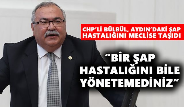CHP’li Bülbül, Aydın’daki şap hastalığını meclise taşıdı