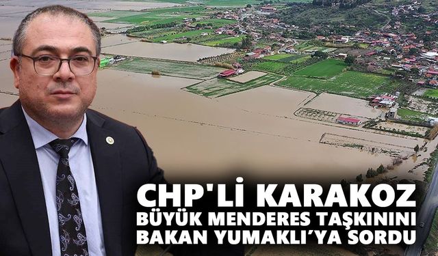 CHP'li Karakoz, Büyük Menderes taşkınını Bakan Yumaklı’ya sordu