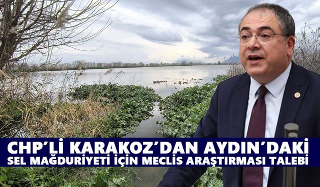 CHP’li Karakoz’dan Aydın’daki sel mağduriyeti için Meclis araştırması talebi