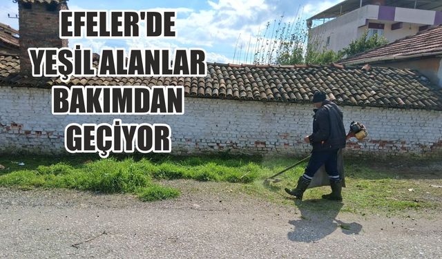 Efeler’de yeşil alanlar bakımdan geçiyor