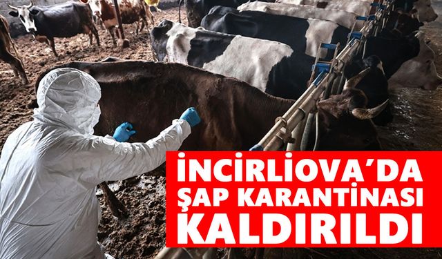 İncirliova’da şap karantinası kaldırıldı