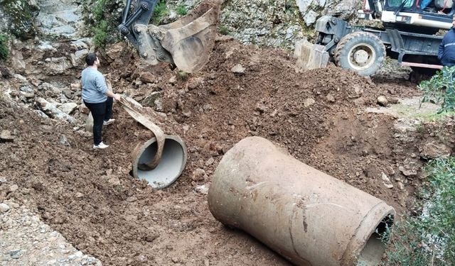 Kuşadası’nda arıcıların yolu yeniden açıldı