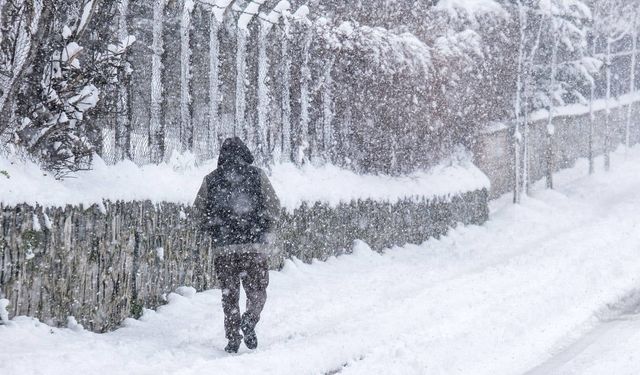 Meteoroloji 49 il için alarm verdi! Bu şehirlerde yarın lapa lapa kar yağacak