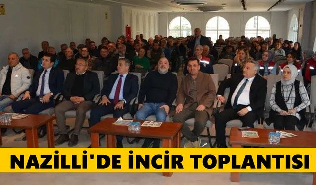 Nazilli'de incir toplantısı