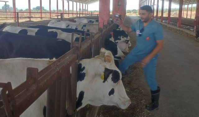 Nazilli'de 20 mahallede tedbirler kaldırıldı