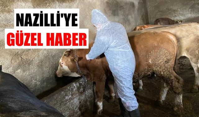 Nazilli'ye güzel haber: Birçok mahallede yasak kalktı