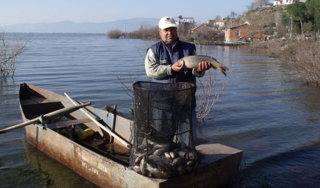 Söke Ovası’ndaki taşkın köylerdeki yerel balıkçıları heyecanlandırdı