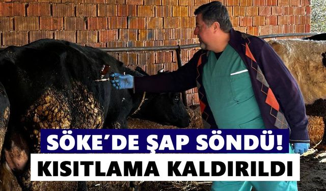 Söke’de şap söndü! Kısıtlama kaldırıldı