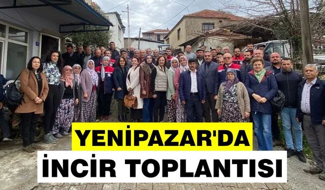 Yenipazar'da incir toplantısı: Müdür Temiz üreticilerle buluştu