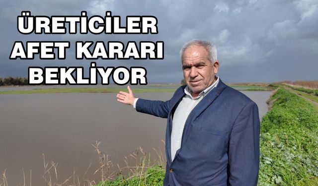 Aydın’da binlerce dönüm arazi sular altında: Üreticiler afet kararı bekliyor