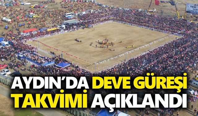 Aydın’da deve güreşleri yeniden başlıyor: 2026 takvimi açıklandı