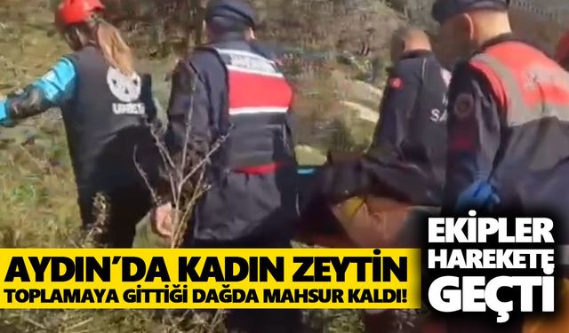 Aydın’da zeytin toplamaya gittiği dağda mahsur kaldı! Ekipler harekete geçti