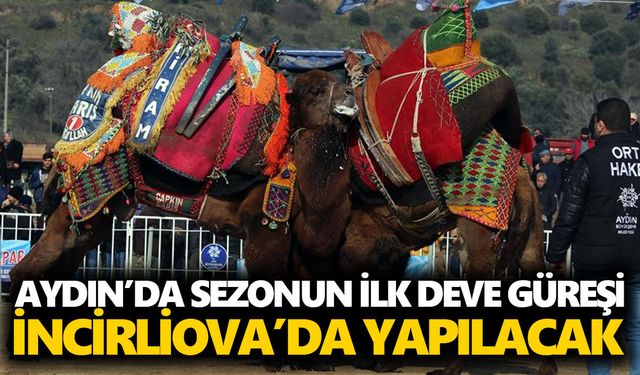 Aydın'da merakla beklenen festival için tarih belli oldu