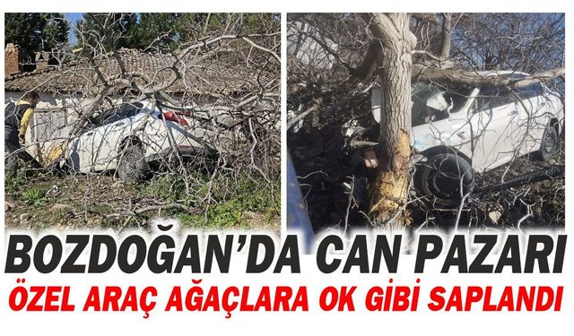 Bozdoğan’da sürücü direksiyon hakimiyetini kaybetti: 2 ölü 1 yaralı