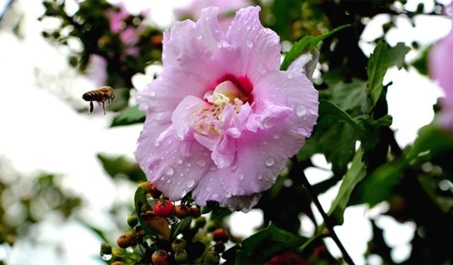 3. Cemre ne zaman düşecek? Baharın müjdecisi 3. cemre hangi gün nereye ve hangi tarihte düşecek? 2026 cemre tarihleri