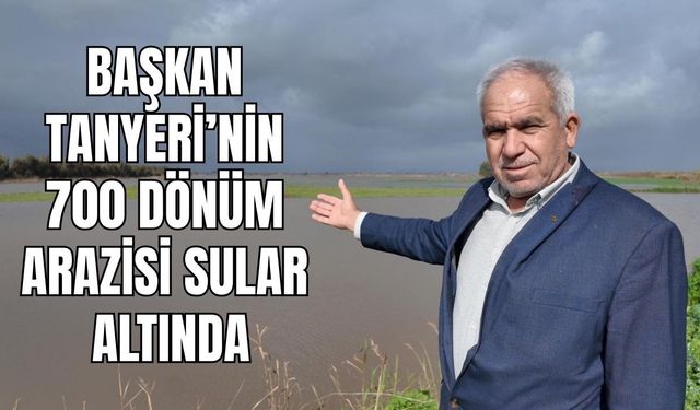 Büyük Menderes taştı, Söke Ovası göle döndü: Çiftçi tarlaya en erken mayısta girebilecek