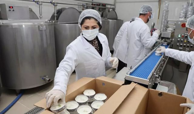 Pazarlamacı olarak girdiği sektörde patron oldu. Devlet desteğiyle kurduğu tesiste günde 5 ton dondurma üretiyor