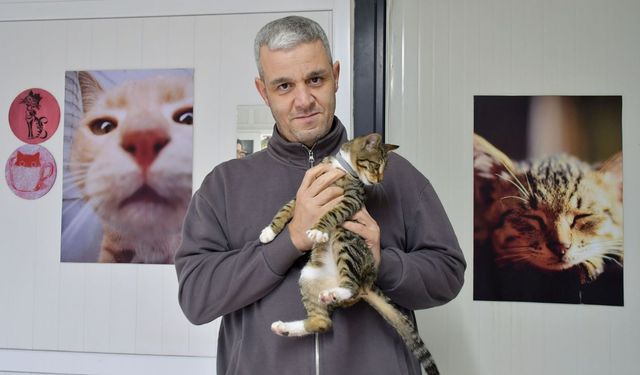 Kuşadası Belediyesi’nden kritik çağrı: Sokak kedileri için ücretsiz hizmet başladı