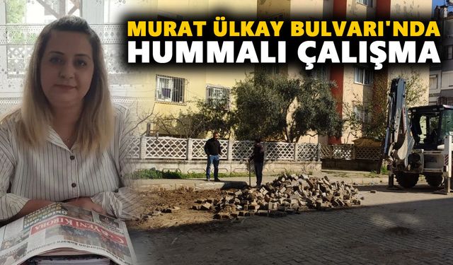 Nazilli'de yağmur molası bitti: Murat Ülkay Bulvarı'nda hummalı çalışma
