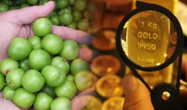 Yeşil erik gram altın fiyatlarını solladı! Bir kilosu 9 bin TL oldu