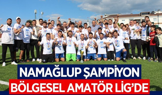 Şampiyon Aydın BBSK, Bölgesel Amatör Lig'de