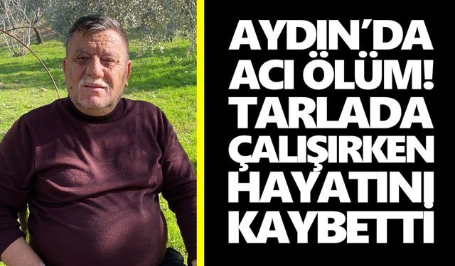 Aydın’da acı ölüm! Tarlada çalışırken hayatını kaybetti