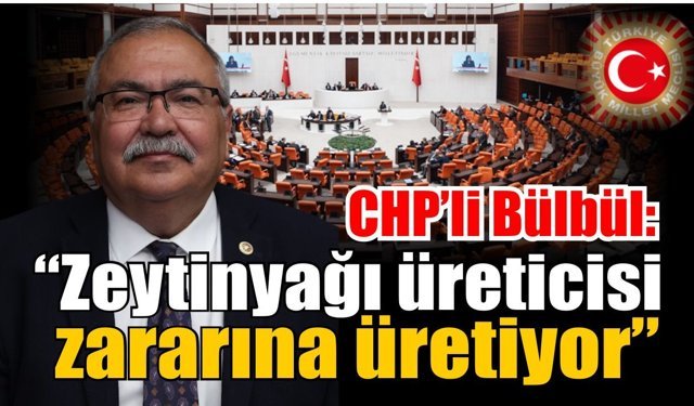Aydın’da zeytin üreticisi zor durumda