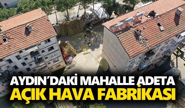 Aydın’daki mahalle adeta açık hava fabrikası