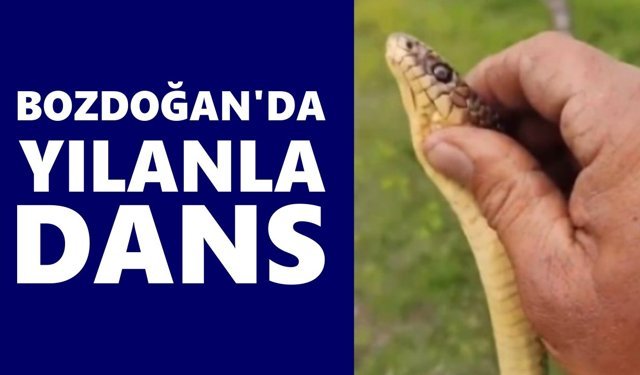 Bozdoğan'da yılanla dans