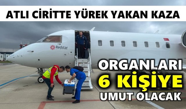 Cirit turnuvası faciaya dönmüştü: Organları 6 kişiye umut olacak