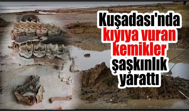 Kuşadası sahilinde şaşırtan keşif