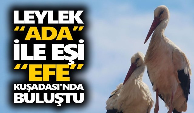 Leylek Ada ile eşi Efe Kuşadası’nda buluştu
