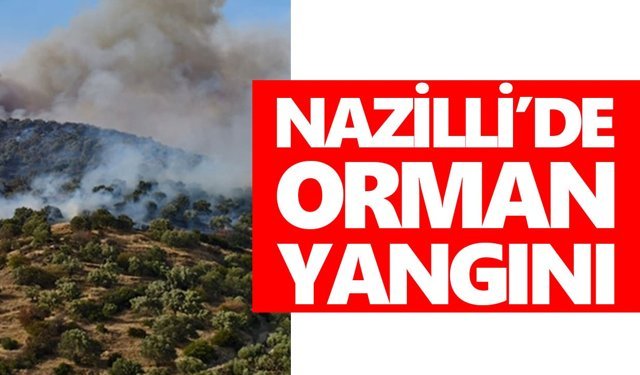 Nazilli'de orman yangını! 4 dönüm alan zarar gördü