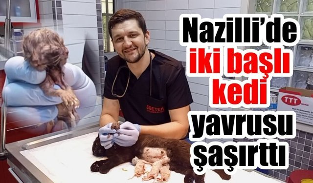 Nazilli'de şaşkınlık yaratan olay