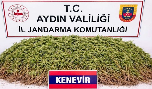 Nazilli’de uyuşturucu operasyonu: 1 kişi tutuklandı