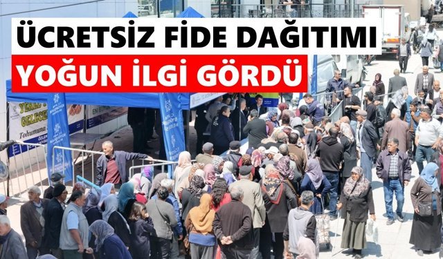 Sultanhisar ve Buharkent'te fide kuyruğu