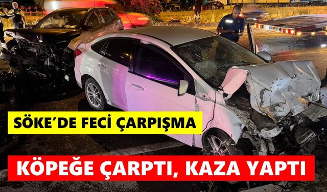 Söke’de feci çarpışma: Köpeğe çarptı, kaza yaptı