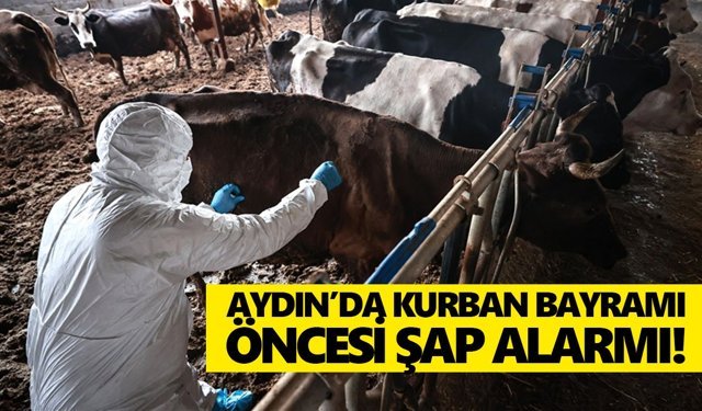 Aydın’da Kurban Bayramı öncesi şap alarmı!