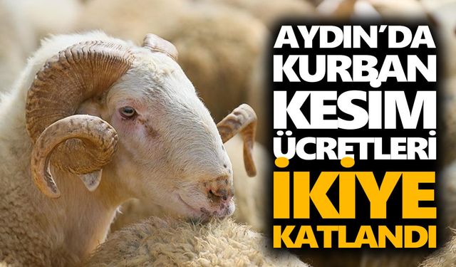 Aydın’da kurban kesim ücretleri ikiye katlandı