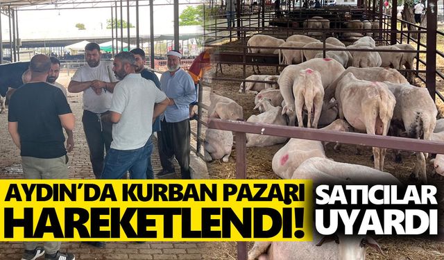 Aydın’da kurban pazarı hareketlendi! Satıcılar uyardı!