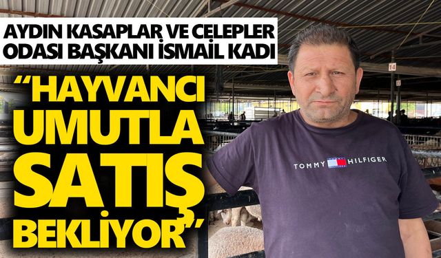 Aydın’da kurbanlıkta maliyetler arttı, et fiyatı yerinde saydı