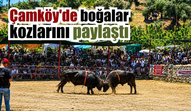 Binlerce güreşsever Çamköy’de buluştu