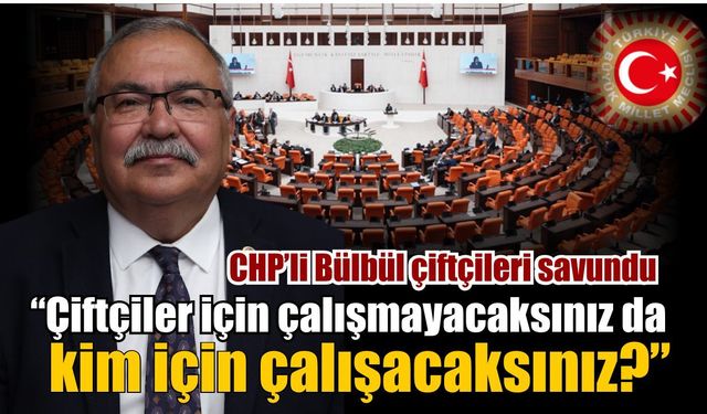 CHP’li Bülbül’den DSİ ve TMO’ya eleştiri