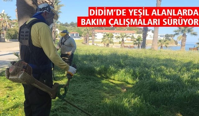 Didim’de yeşil alanlarda bakım çalışmaları sürüyor