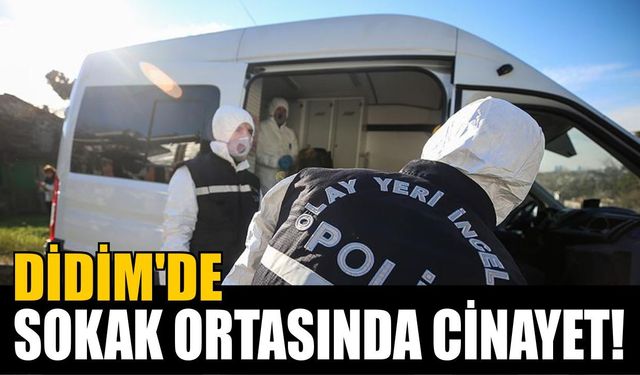 Didim’de komşu kavgası can aldı