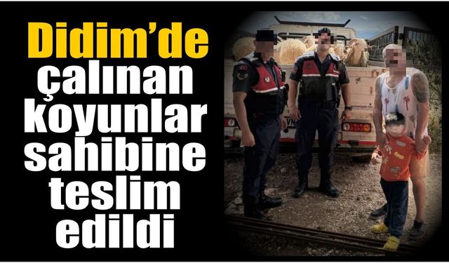 Didim’de küçükbaş hırsızlığına geçit yok