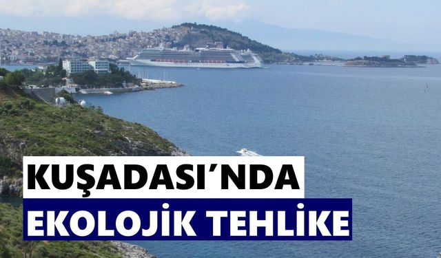 Kuşadası’nda doğa alarmı: Akdeniz Foklarının yaşam alanı beton tehdidi altında