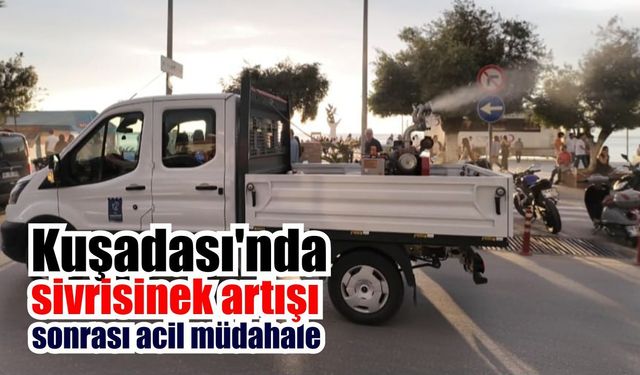 Kuşadası’nda ilaçlama seferberliği