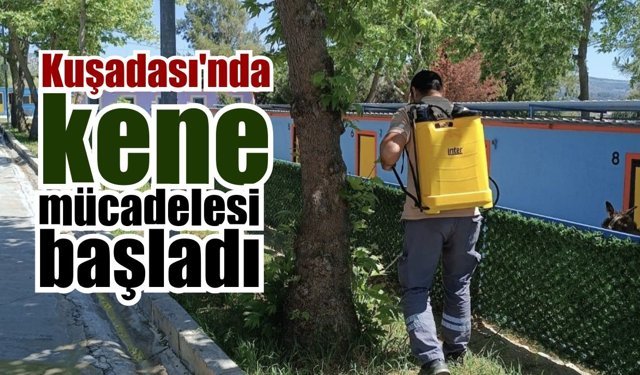 Kuşadası'nda kene için erken önlem alındı